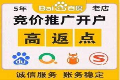 大数据分析在竞价广告中的应用